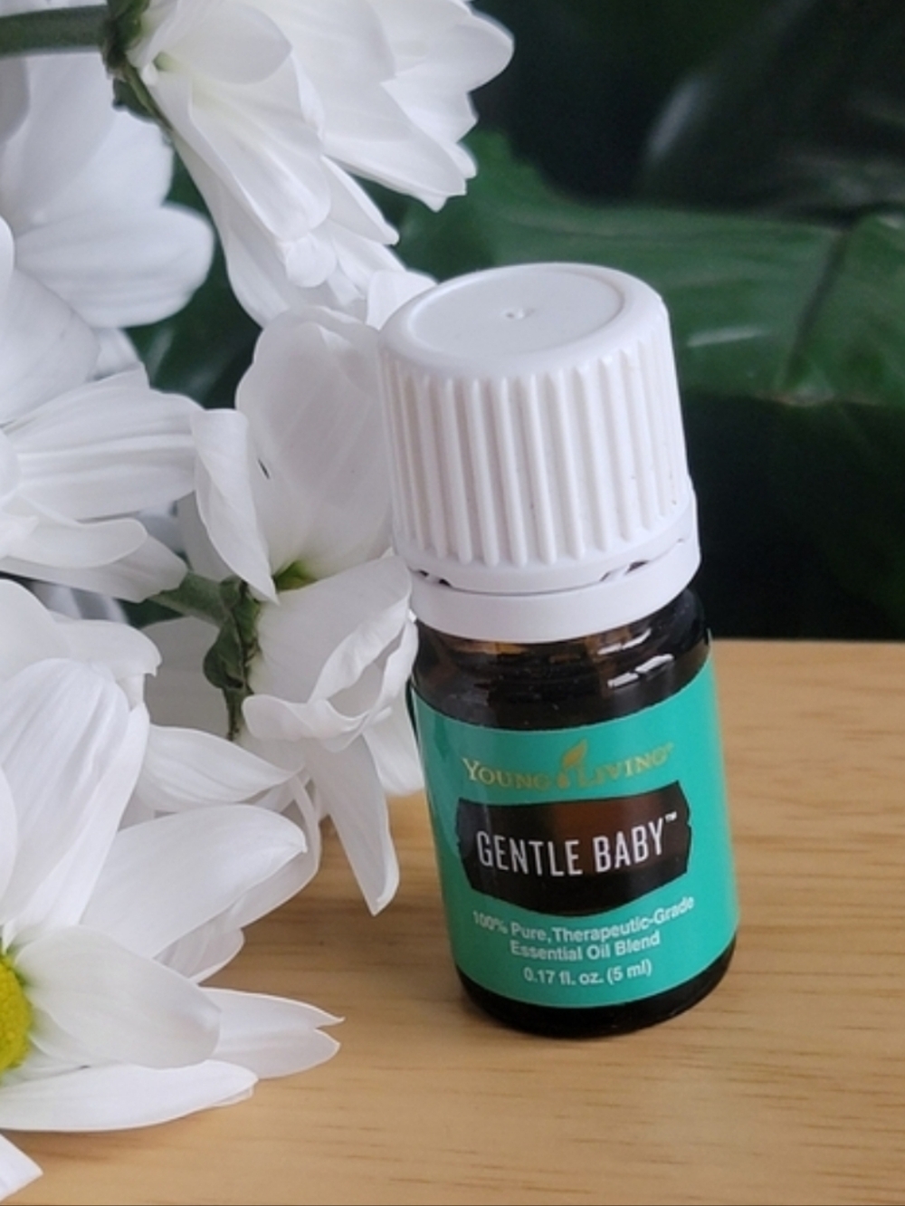 Young Living Gentle Baby Essential Oil Blend - Teal & White